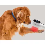 Állátgyógyászati fényterápia